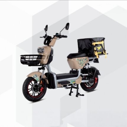 Electric City Bike HANIU-ZHANMA